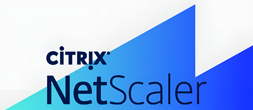 В сетевых решениях Citrix NetScaler обнаружена серьёзная уязвимость, которая уже эксплуатируется в реальных атаках Критическая дыра в Citrix NetScaler уже используется хакерами