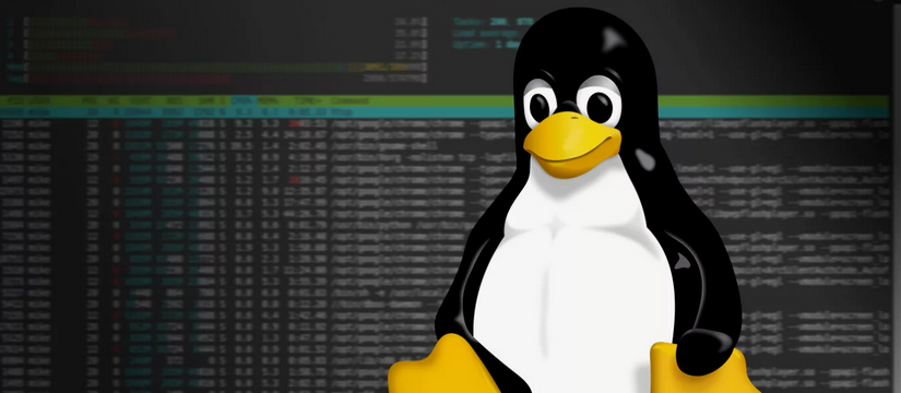 Новый опасный руткит Pumakit атакует Linux