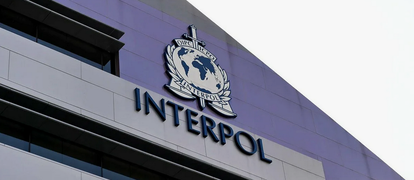 INTERPOL ликвидировал тысячи вредоносных серверов в рамках борьбы с киберпреступностью