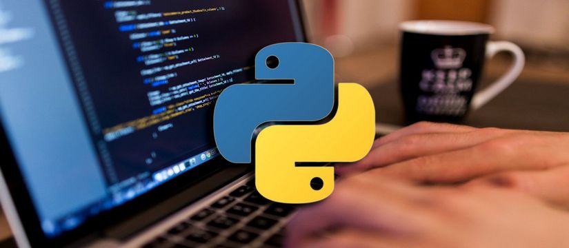 Наводнение рынка: Python-разработчиков в России стало слишком много