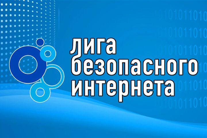 Мизулина лига безопасного интернета фото