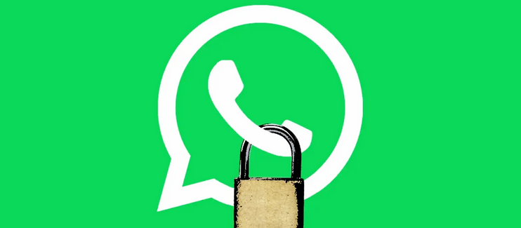 В Совфеде предположили возможную блокировку WhatsApp из-за появления новостных каналов